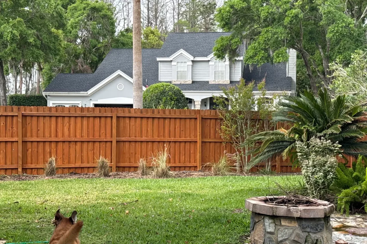 Fence Painting in Tampa