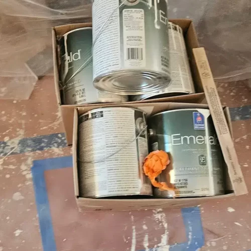 We use top-tier paints Sherwin-Williams Emerald and Duration for interior painting in tampa